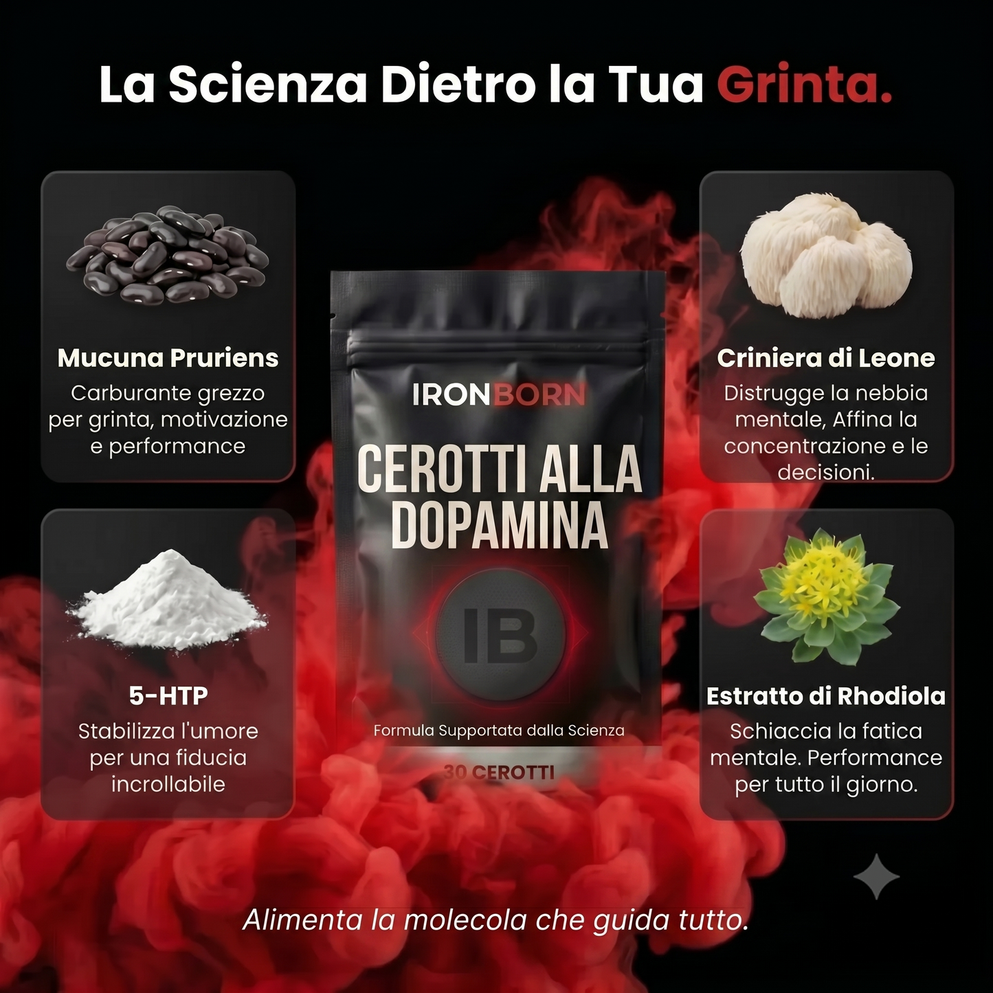 CEROTTO IRONBORN PERFORMANCE: CONCENTRAZIONE, ENERGIA, GRINTA E FIDUCIA